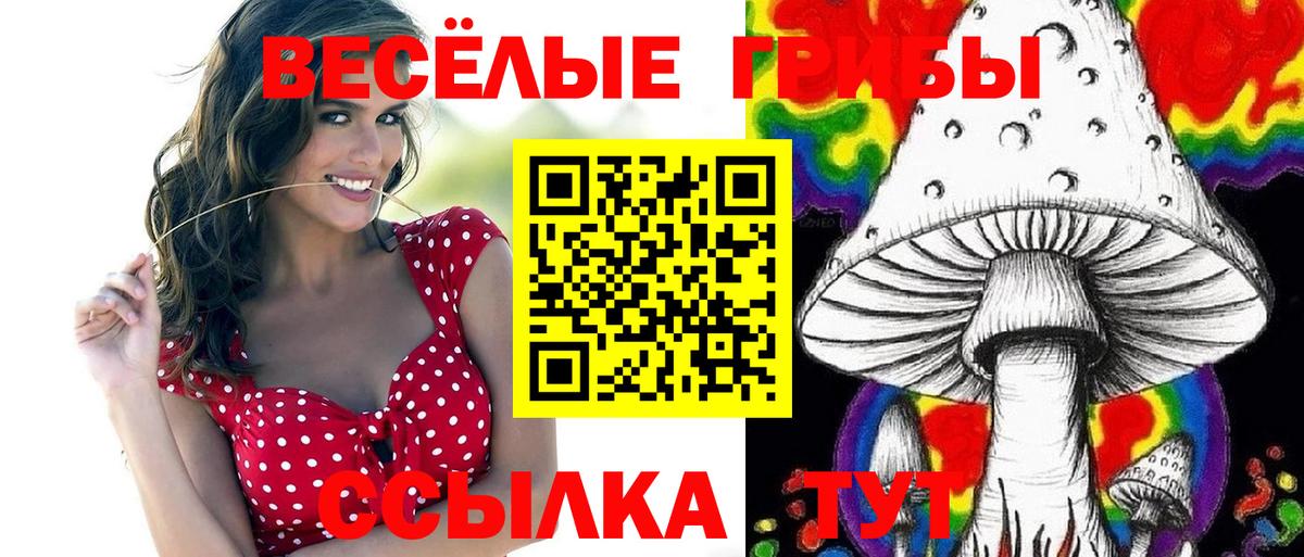 Галлюциногенные грибы прущие грибы  Вход с VPN  Звенигород 