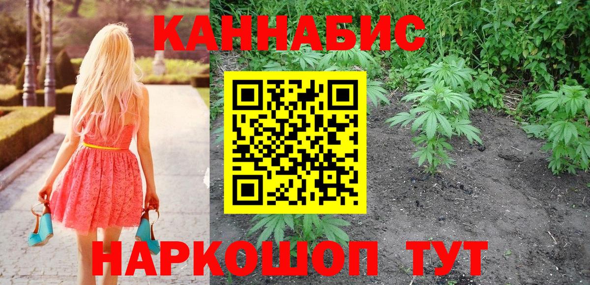 Звенигород  Марихуана OG Kush  Вход с VPN  Каннабис сатива 